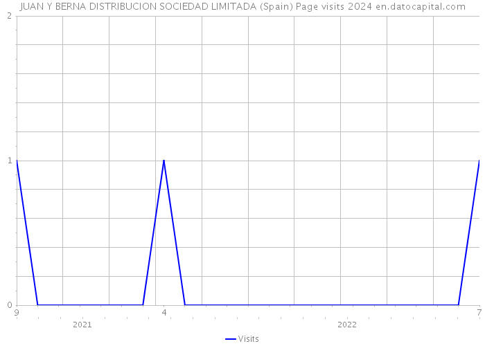 JUAN Y BERNA DISTRIBUCION SOCIEDAD LIMITADA (Spain) Page visits 2024 