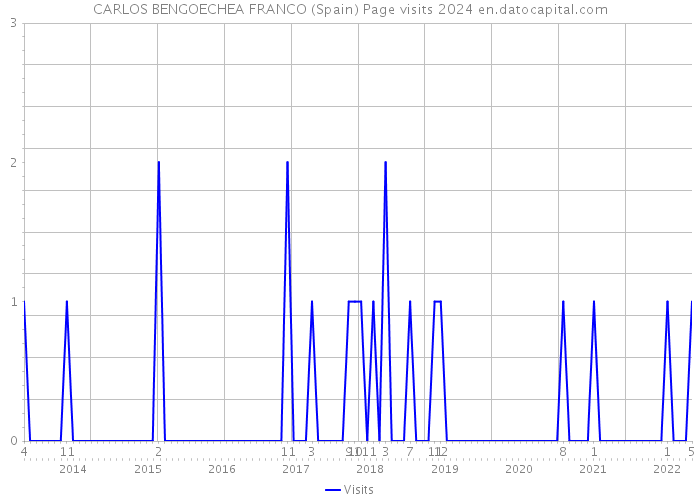 CARLOS BENGOECHEA FRANCO (Spain) Page visits 2024 