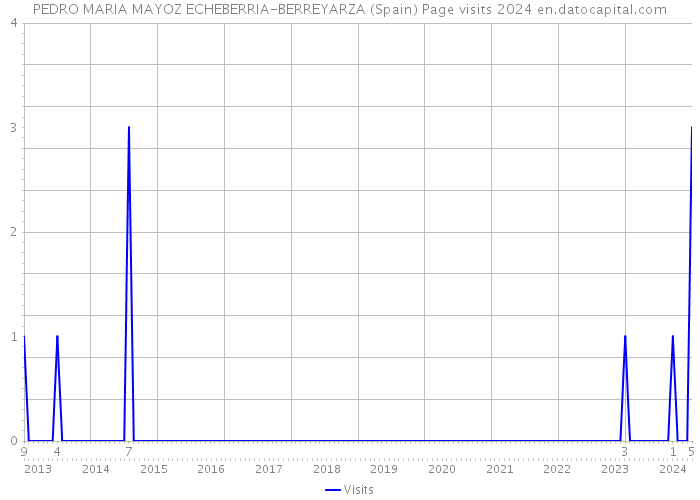 PEDRO MARIA MAYOZ ECHEBERRIA-BERREYARZA (Spain) Page visits 2024 