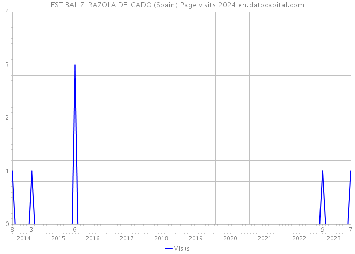 ESTIBALIZ IRAZOLA DELGADO (Spain) Page visits 2024 