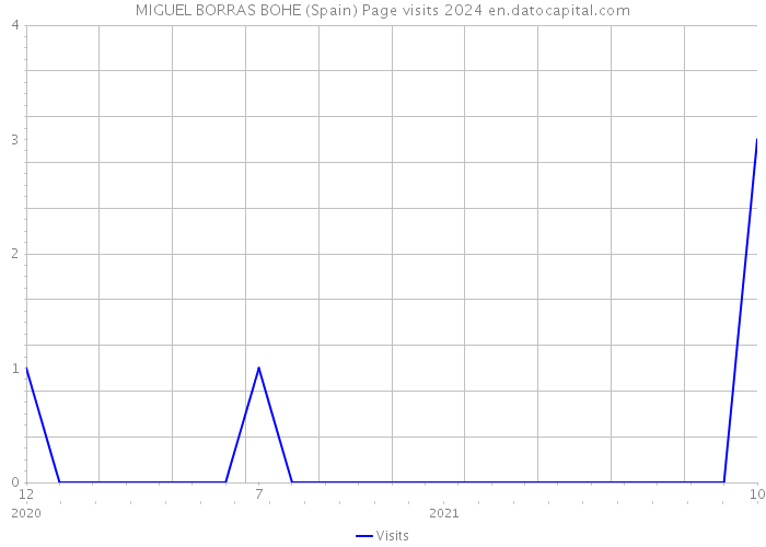 MIGUEL BORRAS BOHE (Spain) Page visits 2024 