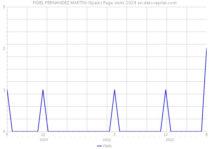 FIDEL FERNANDEZ MARTIN (Spain) Page visits 2024 