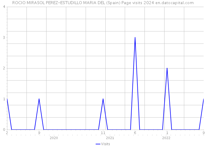 ROCIO MIRASOL PEREZ-ESTUDILLO MARIA DEL (Spain) Page visits 2024 