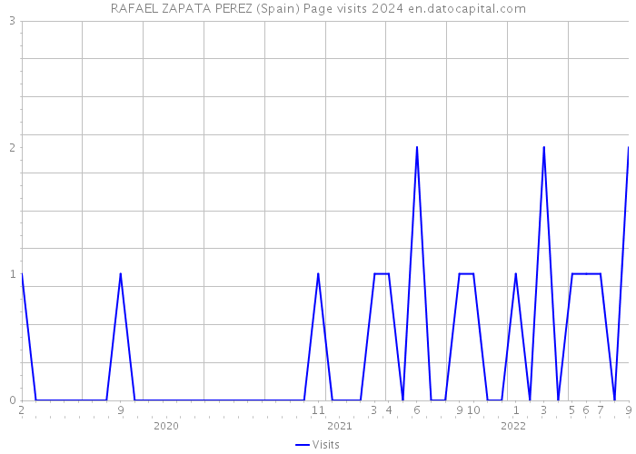 RAFAEL ZAPATA PEREZ (Spain) Page visits 2024 