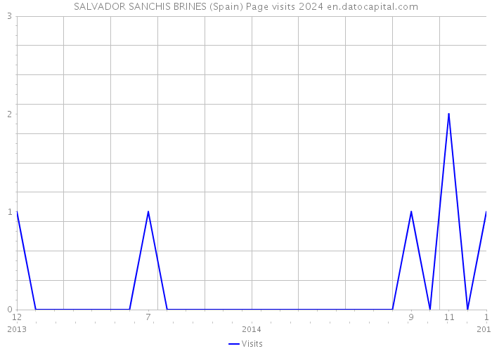 SALVADOR SANCHIS BRINES (Spain) Page visits 2024 