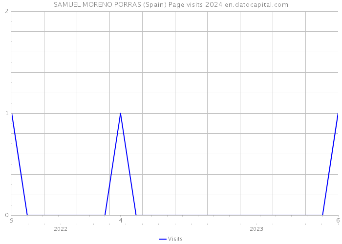 SAMUEL MORENO PORRAS (Spain) Page visits 2024 