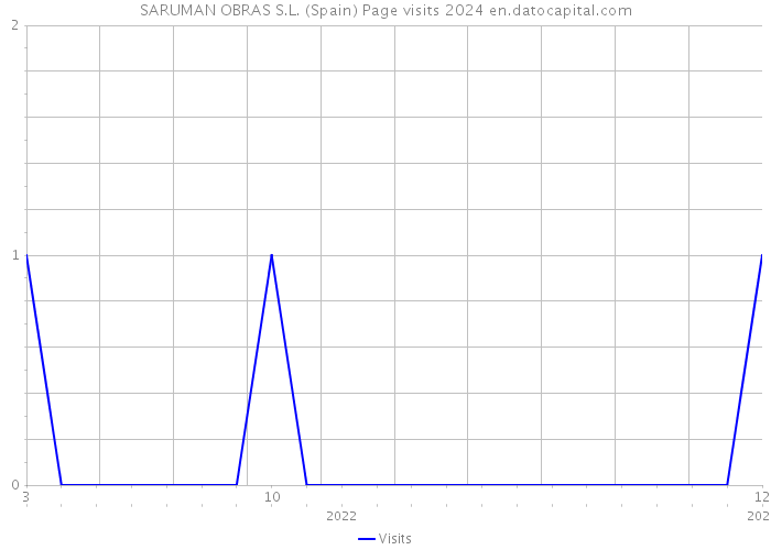 SARUMAN OBRAS S.L. (Spain) Page visits 2024 