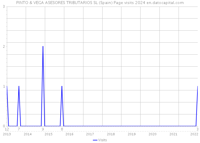 PINTO & VEGA ASESORES TRIBUTARIOS SL (Spain) Page visits 2024 