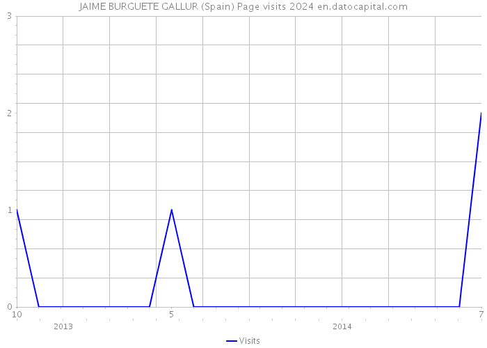 JAIME BURGUETE GALLUR (Spain) Page visits 2024 