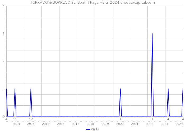 TURRADO & BORREGO SL (Spain) Page visits 2024 