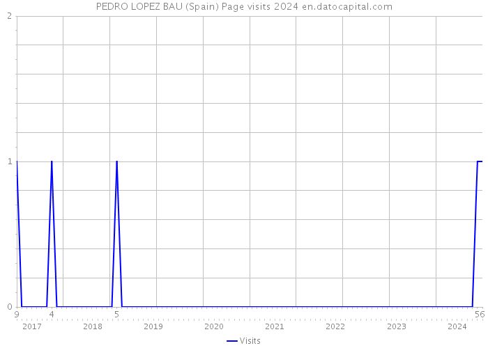 PEDRO LOPEZ BAU (Spain) Page visits 2024 