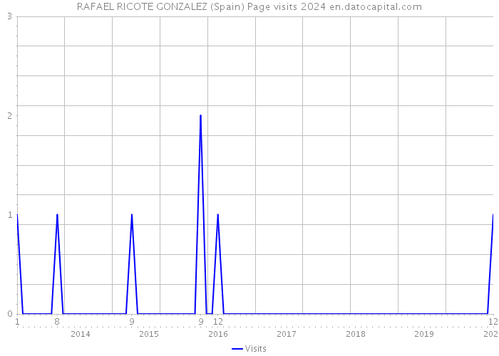 RAFAEL RICOTE GONZALEZ (Spain) Page visits 2024 