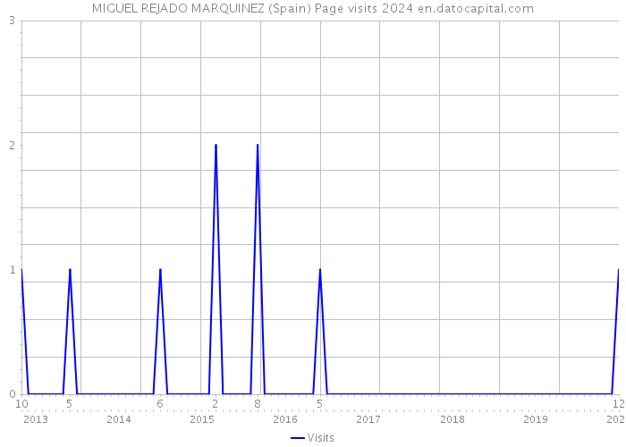 MIGUEL REJADO MARQUINEZ (Spain) Page visits 2024 