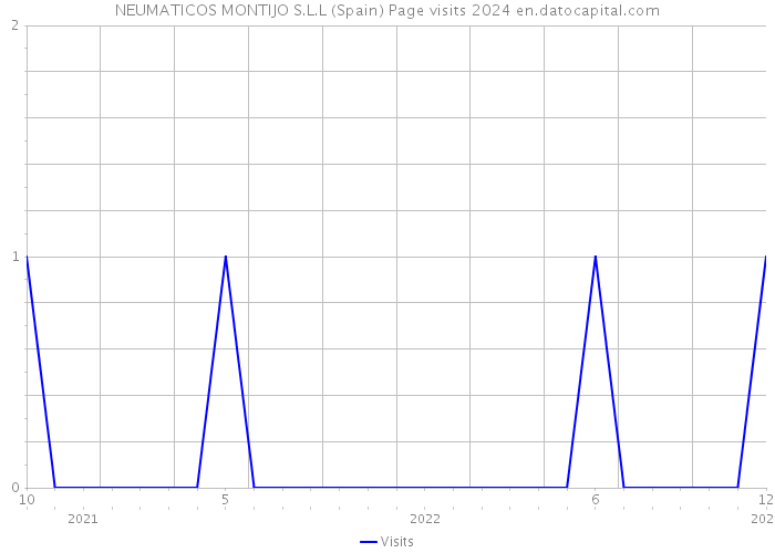 NEUMATICOS MONTIJO S.L.L (Spain) Page visits 2024 