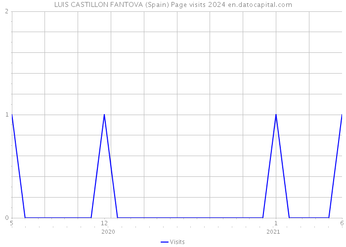 LUIS CASTILLON FANTOVA (Spain) Page visits 2024 