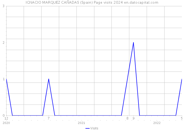 IGNACIO MARQUEZ CAÑADAS (Spain) Page visits 2024 