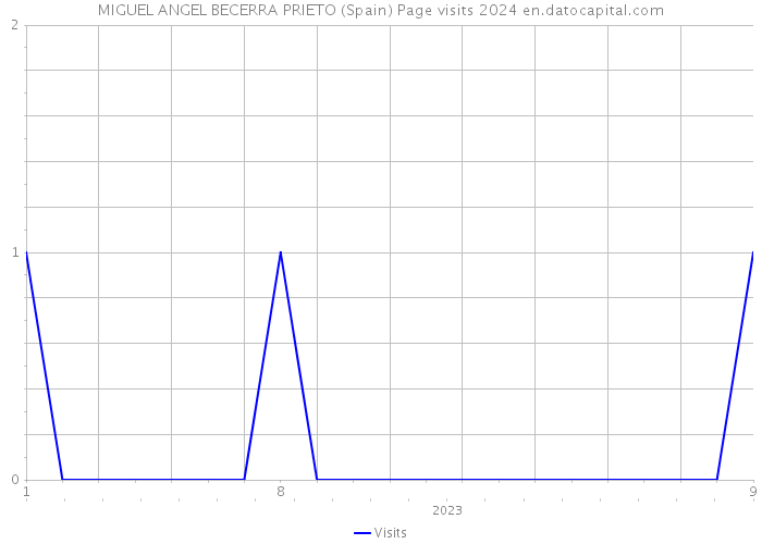 MIGUEL ANGEL BECERRA PRIETO (Spain) Page visits 2024 