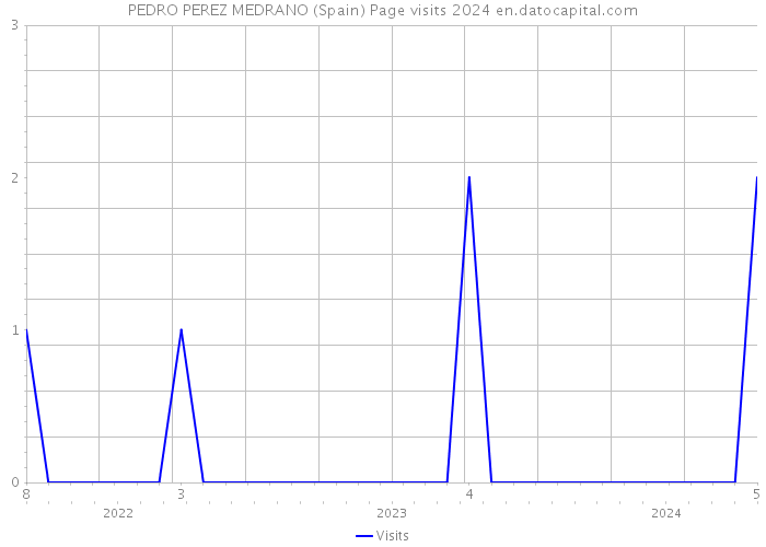 PEDRO PEREZ MEDRANO (Spain) Page visits 2024 