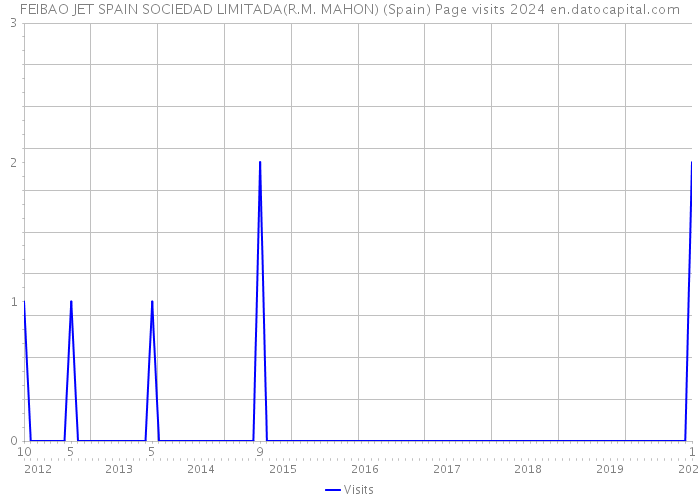 FEIBAO JET SPAIN SOCIEDAD LIMITADA(R.M. MAHON) (Spain) Page visits 2024 