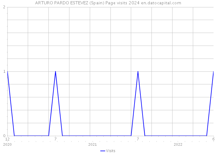 ARTURO PARDO ESTEVEZ (Spain) Page visits 2024 