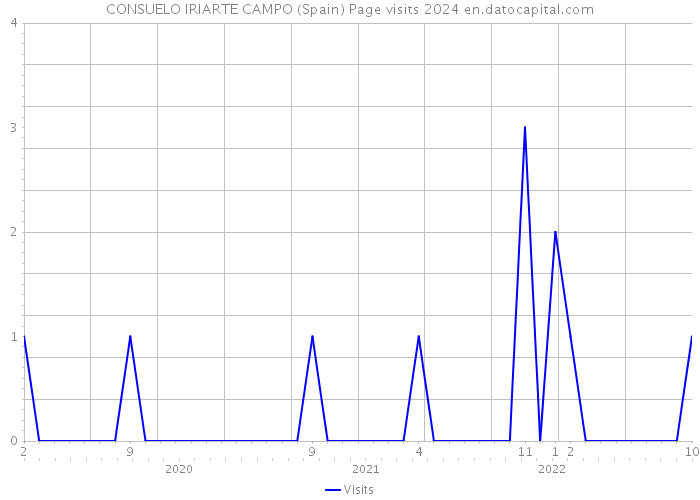 CONSUELO IRIARTE CAMPO (Spain) Page visits 2024 