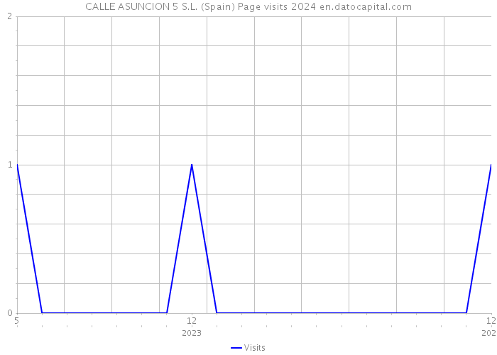 CALLE ASUNCION 5 S.L. (Spain) Page visits 2024 