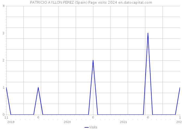 PATRICIO AYLLON PEREZ (Spain) Page visits 2024 