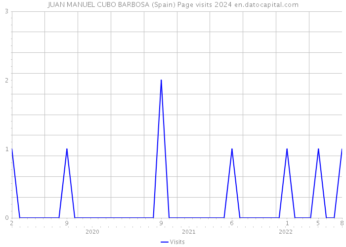 JUAN MANUEL CUBO BARBOSA (Spain) Page visits 2024 