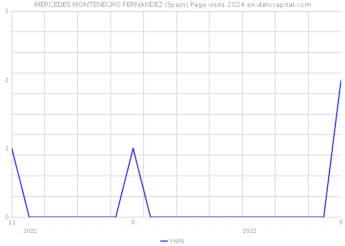 MERCEDES MONTENEGRO FERNANDEZ (Spain) Page visits 2024 
