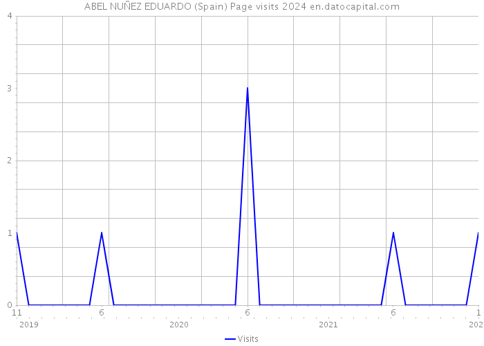 ABEL NUÑEZ EDUARDO (Spain) Page visits 2024 