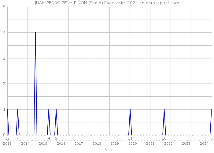 JUAN PEDRO PEÑA PIÑON (Spain) Page visits 2024 