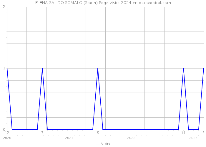 ELENA SALIDO SOMALO (Spain) Page visits 2024 
