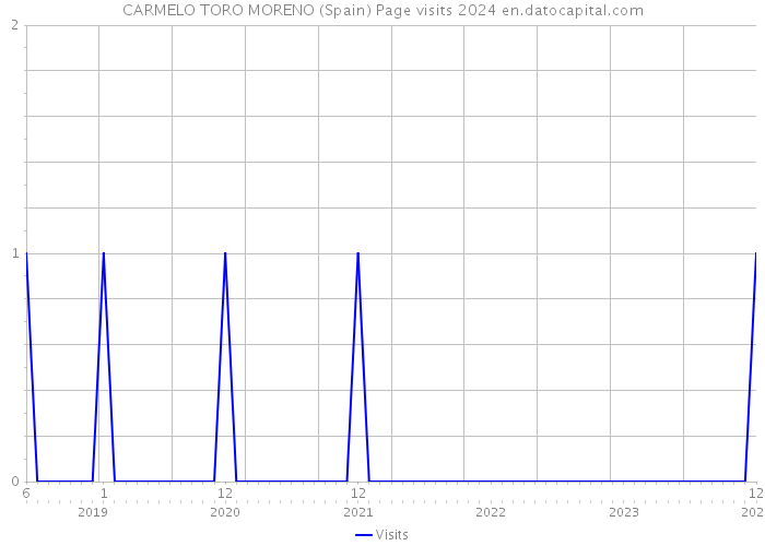 CARMELO TORO MORENO (Spain) Page visits 2024 