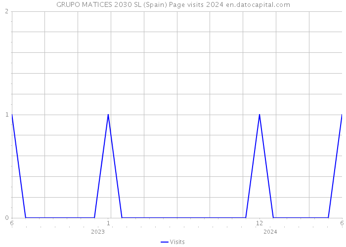 GRUPO MATICES 2030 SL (Spain) Page visits 2024 