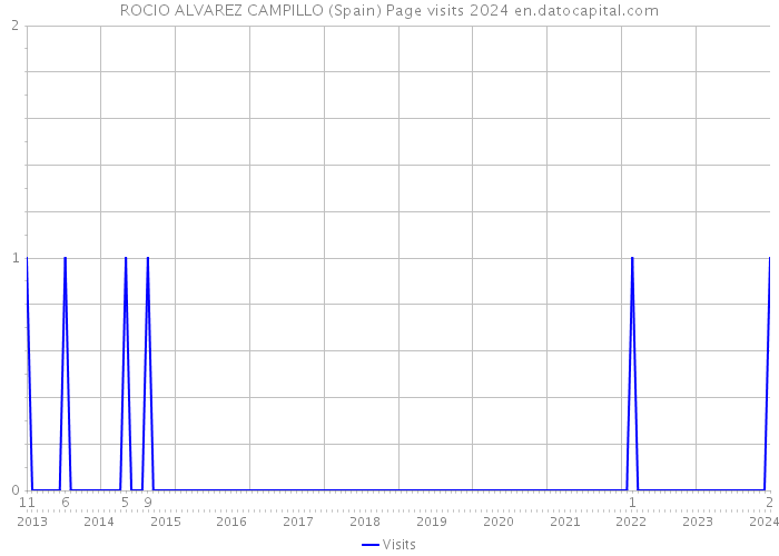 ROCIO ALVAREZ CAMPILLO (Spain) Page visits 2024 