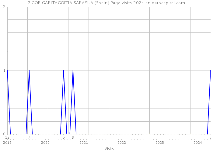 ZIGOR GARITAGOITIA SARASUA (Spain) Page visits 2024 