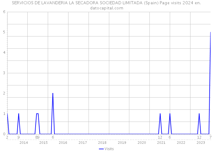 SERVICIOS DE LAVANDERIA LA SECADORA SOCIEDAD LIMITADA (Spain) Page visits 2024 