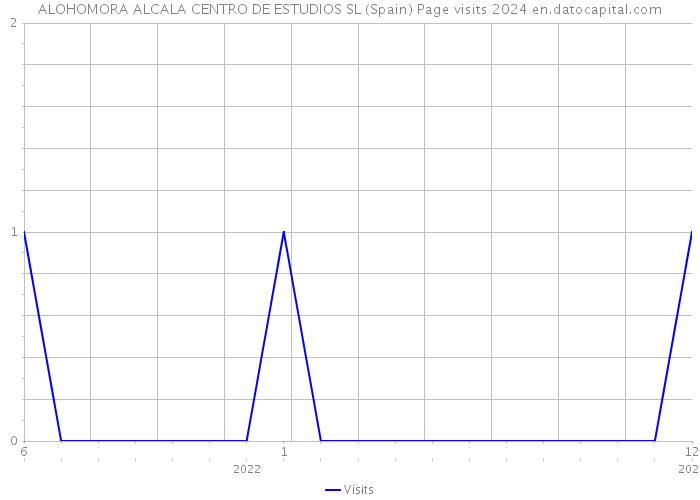 ALOHOMORA ALCALA CENTRO DE ESTUDIOS SL (Spain) Page visits 2024 
