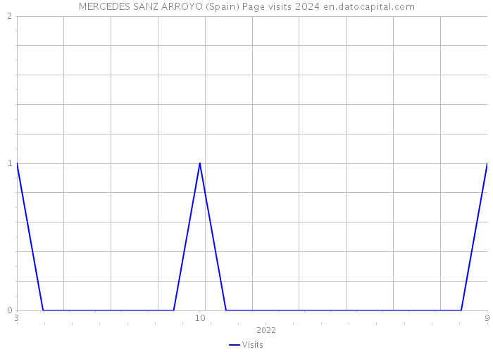 MERCEDES SANZ ARROYO (Spain) Page visits 2024 