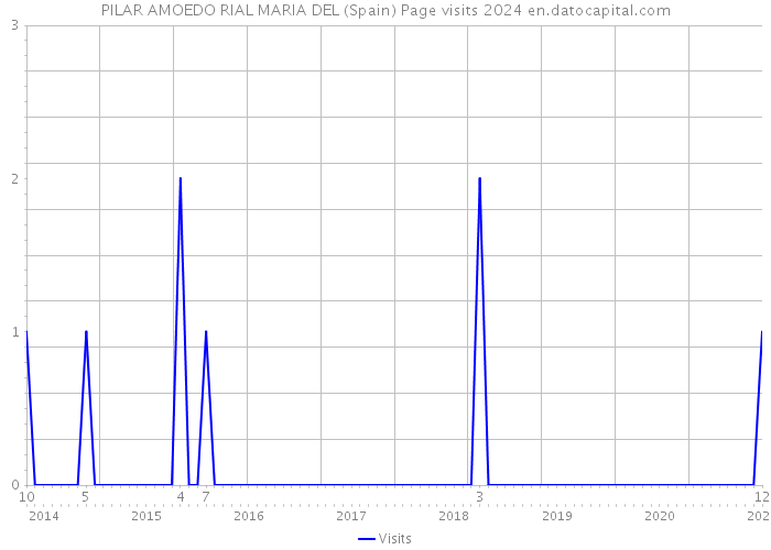 PILAR AMOEDO RIAL MARIA DEL (Spain) Page visits 2024 