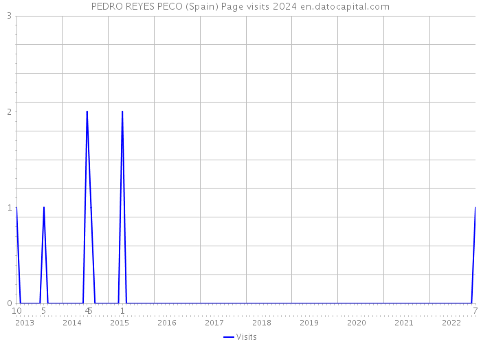 PEDRO REYES PECO (Spain) Page visits 2024 
