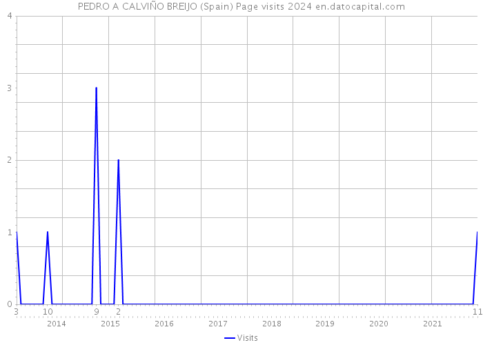 PEDRO A CALVIÑO BREIJO (Spain) Page visits 2024 