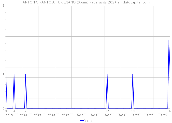 ANTONIO PANTOJA TURIEGANO (Spain) Page visits 2024 