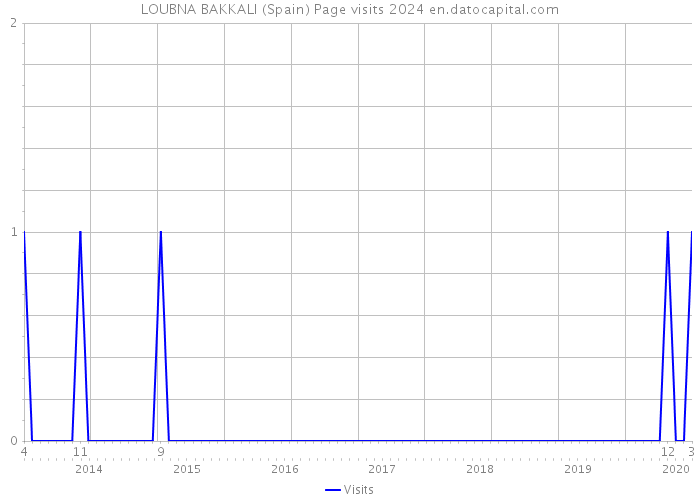 LOUBNA BAKKALI (Spain) Page visits 2024 