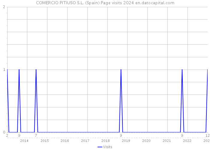 COMERCIO PITIUSO S.L. (Spain) Page visits 2024 