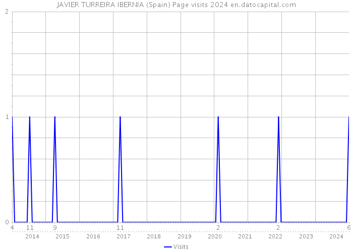 JAVIER TURREIRA IBERNIA (Spain) Page visits 2024 