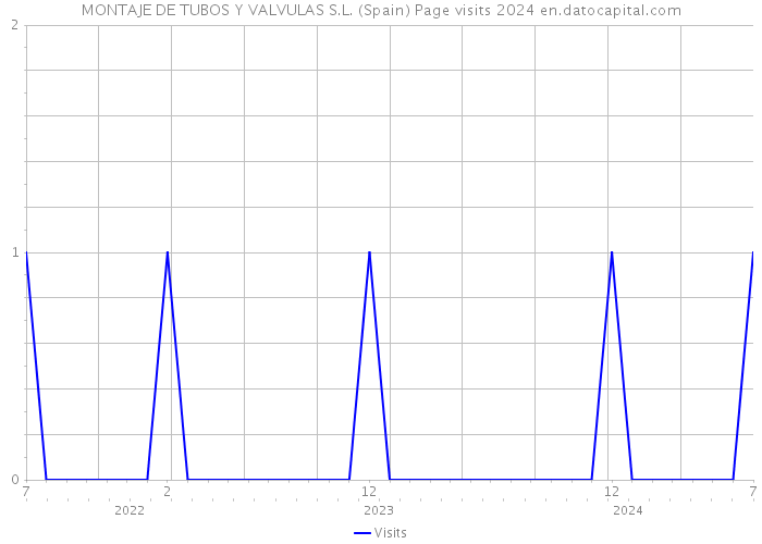 MONTAJE DE TUBOS Y VALVULAS S.L. (Spain) Page visits 2024 