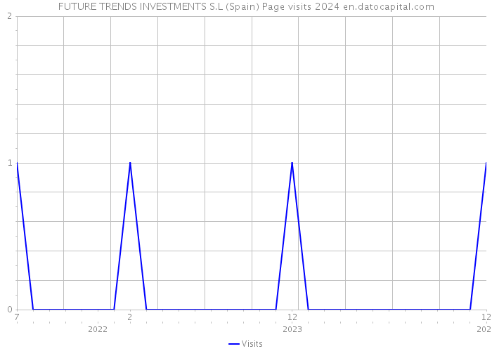 FUTURE TRENDS INVESTMENTS S.L (Spain) Page visits 2024 