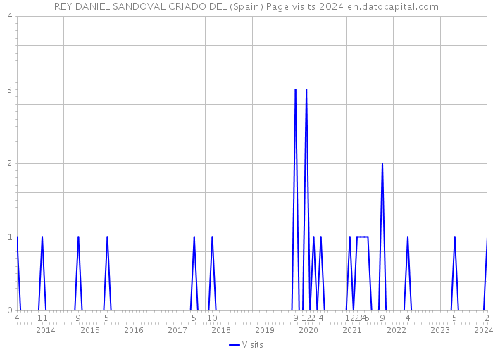 REY DANIEL SANDOVAL CRIADO DEL (Spain) Page visits 2024 