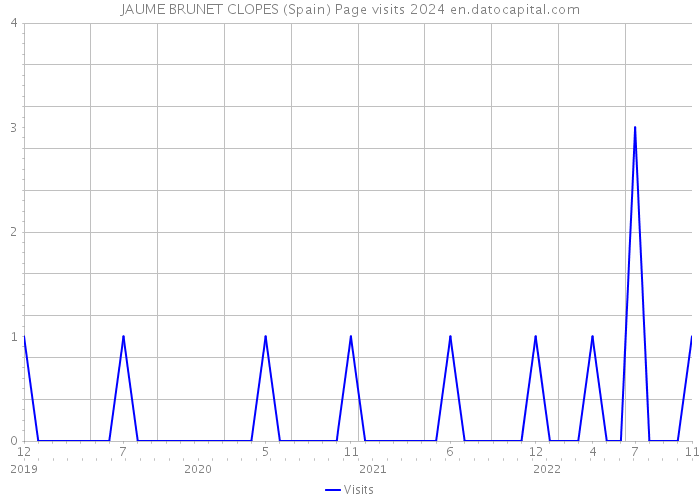 JAUME BRUNET CLOPES (Spain) Page visits 2024 